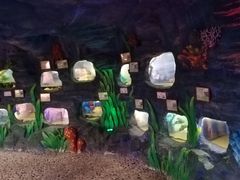 -上海大自然野生昆虫馆(东方明珠·爬宠昆虫探索中心)