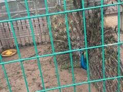 -上海多利农业发展有限公司