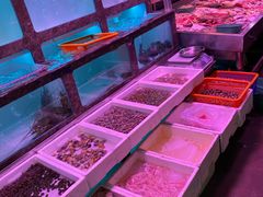 水产区-长平肥姐白粥·海鲜打冷