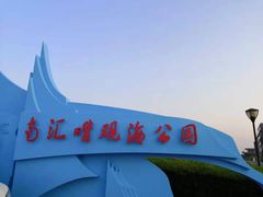 -南汇嘴观海公园