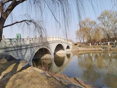 -西安浐灞国家湿地公园