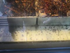 -老黄记手撕烤兔(玉林街店)