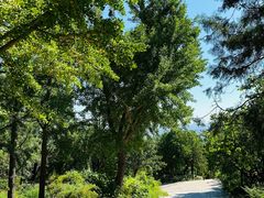 -阳台山自然风景区