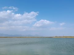 -野鸭湖国家湿地公园