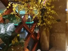 -碧涛阁·泡泡海洋·汤泉洗浴(王府花园店)