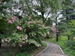 -国家植物园南园