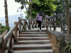 -广州市流溪河国家森林公园