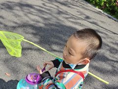 -白塘生态植物园