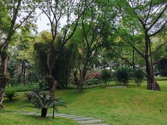 -云溪植物园