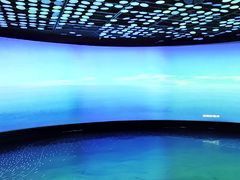 -同济大学四平路校区深海探索馆