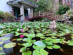 -万佛湖风景区