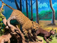 -大连森林动物园