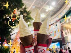-富豪雪糕车流动点(尖沙咀店)