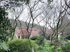 -中国茶叶博物馆(双峰馆区)