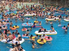 -重庆海昌加勒比海水世界