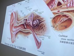 -自然之声助听器·呼吸机(康桥旗舰店)