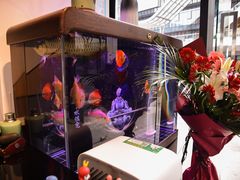 -零·壹新疆羊肉抓饭