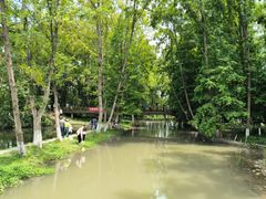 -桤木河湿地公园