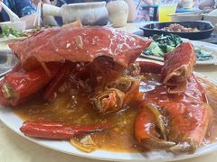 -明辉田鸡粥