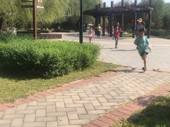 -永定河休闲森林公园