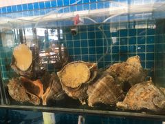 -87号烧烤海鲜·大排档(金沙滩店)