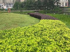 -花果园湿地公园