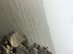 iphone_upload_pic-大湾区中央湿地公园-十九涌