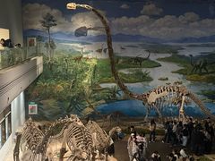 -自贡恐龙博物馆