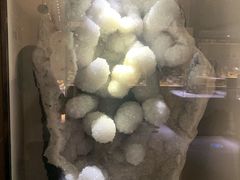 -河南自然博物馆