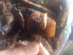 大汗行宫园林餐厅-大汗行宫园林餐厅