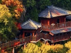 -少华山国家森林公园