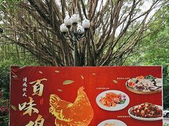 -清远恒大酒店·寻味清远