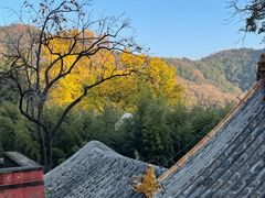 -潭柘寺景区