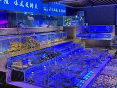-青蓬蒸汽海鲜·深圳老字号·团建聚会(壹方城店)