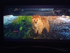 -华美国际影城(旧宫永辉店)