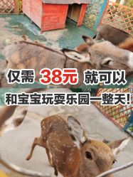 -萌宠亲子动物乐园(槐房万达店)