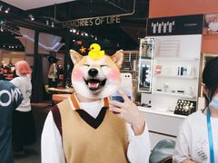 -海马体照相馆(深圳万象天地店)