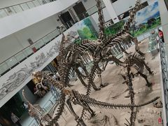 -中国地质大学逸夫博物馆