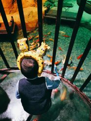 -酷嗒动物文化乐园(cutezoo西溪乐天城店)