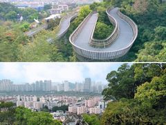 -福道