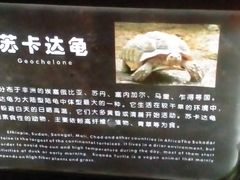 -南昌海洋公园