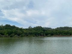 -番禺大夫山森林公园