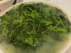 上汤豆苗-广州酒家(文昌总店)