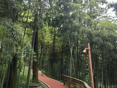 -莫干山风景区