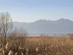 -野鸭湖国家湿地公园
