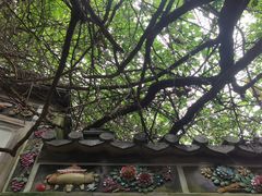 -深圳国际园林花卉博览园