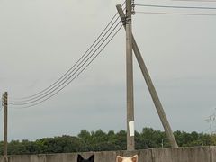-恒盛海鲜餐厅