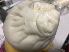 肉包子-白玉兰食品(甜云店)