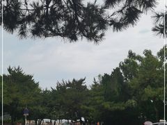 -八大关景区