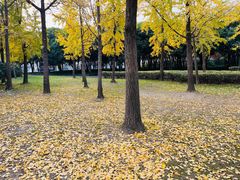 -蠡湖大桥公园